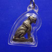 ราคา พร้อมเลี่ยม....เสือหลวงพ่อเปิ่น เสาร์ 5 วัดบางพระ จ.นครปฐม ปี 2536 ....67.2.26...พพ (24121289443)