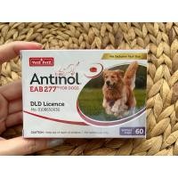 ราคา ✨(ของแท้!!) Antinol For Dog 60 Cap (24134874437)