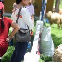 ราคา ส่งต่อ กระเป๋า littlebunnystore (2889497827)