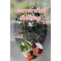 ราคา มะนาวคาเวียร์ มะนาวนิ้วเสียบยอดสวยๆ (16008050112)