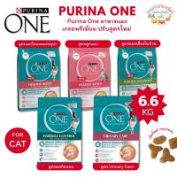 ราคา Purina One อาหารแมวชนิดเม็ด เกรดพรีเมี่ยม ปรับสูตรใหม่ มี 5 สูตร ขนาด 6.6 กก. (44263787263)