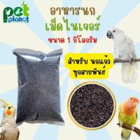 ราคา [1kg.] อาหารนก เมล็ดไนเจอร์ Niger Seed อาหารสำหรับ นก นกแก้ว ทุกสายพันธ์ เลิฟเบิร์ด กรีนชีค ค็อกคาเทล ซันคอนัวร์ (25072018316)