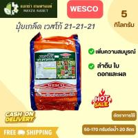 ราคา บรรจุ 5 กิโลกรัม WESCO ปุ๋ย ปุ๋ยเกล็ด เวสโก้ 21-21-21 (21895126875)