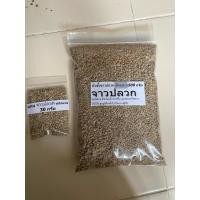 ราคา จุลินทรีย์ จาวปลวก ป่นหยาบ 500 กรัม (13472924657)