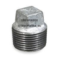 ราคา ปลั๊กอุดเกลียวนอก เหล็ก ขนาด 1 1/4'' - 1 1/2" (8438607535)