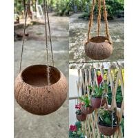 ราคา กะลามะพร้าวสําหรับปลูกพืช กะลามะพร้าวแขวน กะลามะพร้าวสําหรับปลูกกล้วยไม้... (26809891145)