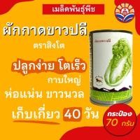 ราคา ส่งด่วน! ผักกาดขาวปลี พันธุ์เบา ลุ้ย 70กรัม ตราสิงโต เพาะปลูกง่าย เจริญเติบโตเร็ว กาบใบใหญ่ ห่อแน่น ขาวนวลสวย (26862630980)