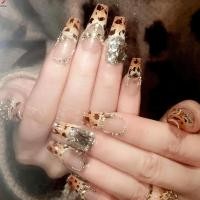 ราคา เล็บปลอมยาวเปลือยพร้อมพิมพ์ลายเสือดาวชิปหลักฐานรอยเปื้อนเล็บปลอมสําหรับเล็บมือตกแต่ง ทําเอง (57906135851)