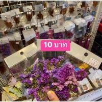 ราคา ดอกสแตติสแห้ง 10 บาท (23730395068)