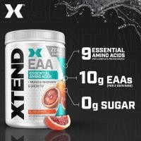 ราคา SCIVATION XTEND BCAA and XTEND EAA (40Servings) (583053568)