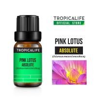 ราคา TROPICALIFE แอปโซลูท ดอกบัวหลวงสีชมพู PINK LOTUS ABSOLUTE ปริมาณ 10 ml (1134471975)