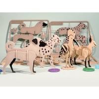 ราคา [Meow.sensei] ชุดการ์ด Wildlife ตุรกี (47306209703)