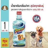 ราคา Dental Fresh Original น้ำยาดับกลิ่นปากสุนัข น้ำยาบ้วนปากผสมน้ำ ลดคราบหินปูน ลดกลิ่นปาก สำหรับสุนัขทุกสายพันธุ์ (503 มล./ (6001132911)