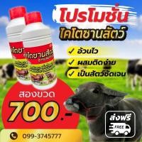 ราคา ส่งฟรี ‼️ เซ็ตประหยัด 2 ขวด 700 บาท หงส์ทองไคโตซาน (ฝาแดง) สูตร อ้วนไว ผสมติดง่าย เป็นสัดชัดเจน !! บรรจุ 1 ลิตร ‼️ (21850385667)