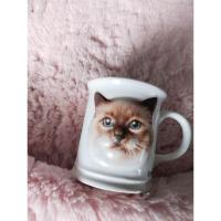 ราคา แก้วเซรามิค ภาพหัวแมวนูน Friskies (21078082322)