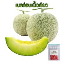 ราคา เมล็ดพันธุ์ เมล็ดเมล่อนญี่ปุ่น เนื้อเขียวคิโมจิ หวานฉ่ำ กลิ่นหอม รสชาติดี [ 10 แถม 1 คละได้] (9549061818)