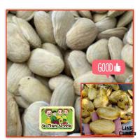 ราคา เม็ดพันธุ์มะม่วงกะล่อน เม็ดมะม่วงกะสอ เม็ดพันธุ์มะม่วงเปรี้ยวพื้นบ้าน ชุดล่ะ 10 เม็ด (18379114226)