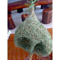 ราคา รังนกกระจาบตัวผู้ (3251274733)