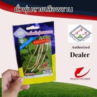 ราคา ผักซองAAAถั่วพุ่มลายเสือพราน #เมล็ดพืชยี่ห้อสามเอ #คุณภาพดี #เมล็ดถั่วพุ่มลายเสือพราน #ฝักดก (23159507009)