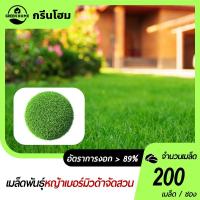 ราคา หญ้านวลน้อยเมล็ดพันธุ์หญ้านวลน้อย200เมล็ดปลูกง่ายเขียวสดใสปลูกครั้งเดียวอยู่ได้นาน (27137978068)