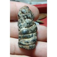 ราคา คตดักแด้ดักแด้กลายเป็นหินมันส์ๆ เก่าหลายร้อยปี คตดักแด้เครื่องรางสายคตสายทนสิทธิ์มรฤทธิ์ในตัว (42355196867)