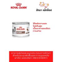 ราคา Royal Canin / Recovery กระป๋อง (10011331492)