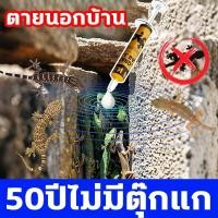 ราคา 50ปีไม่มีตุ๊กแกไล่จิ้งจก ไล่แมลงสาบ กำจัดจิ้งจก ยาฆ่าจิ้งจก ยากำจัดตุ๊กแก ยาจิ้งจก gecko killer ยากำจัดจิ้งจก (28683795454)