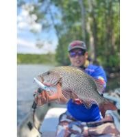 ราคา JT lure เหยื่อดำลึกลิ้นยาว สำหรับตีปลาเก๋า กระพงแดง น้ำหัก 20 กรัม 11.5 เซ็น (29874826565)