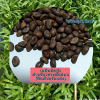 ราคา เมล็ดผักบุ้งเพาะต้นอ่อน/เมล็ดผักบุ้งจีน (11968474102)