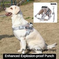 ราคา สายจูงสุนัข ขนาดใหญ่ กลาง สีทอง สําหรับสุนัขลาบราดอร์ ลาบราดอร์ (25057521808)