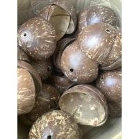 ราคา พร้อมส่งกะลามะพร้าว (1 อัน) กะลาเหยียบนวดฝ่าเท้า ไม้นวดกดจุดฝ่าเท้า ไม้นวดฝ่าเท้า ไม้นวดเท้า (3044365093)