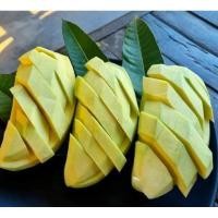 ราคา มะม่วงเขียวเสวย แก่จัด ลูกขนาดกลางๆ เก็บสดๆ ใหม่ๆ หวานๆ อร่อยๆ (28580044198)