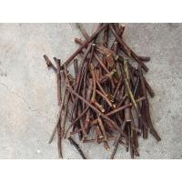 ราคา กิ่งหางไหลแดงตัดสดสำหรับนำไปชำ(1ชุด5กิ่ง) (29879277049)