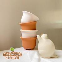 ราคา กระถางดินเผาแคตตัส กระถางกุหลาบหิน ไลทอป ทรงปากแตร2.5” (10467393649)