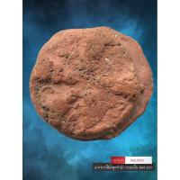 ราคา [ AML9150 ] งบน้ำอ้อย พิมพ์พระเจ้า ๕ พระองค์ ( ข้อมูลจากเจ้าของเดิม : หลวงพ่อโหน่ง วัดคลองมะดัน ) (50707471509)