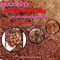ราคา ขุยมะพร้าว มะพร้าวสับ มะพร้าวสับละเอียด มะพร้าวสับหยาบ ขนาด 200 กรัม (12228684561)
