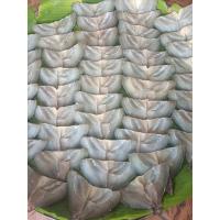 ราคา ปลานิลแดดเดียวแล่ แบบยังไม่ทอด ปลาแล่ ปลานิลแดดเดียวเค็มน้อย ทำสดใหม่ทุกวัน อร่อยมาก (48456321585)