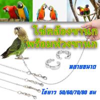 ราคา พร้อมส่งสายจูงนก โซ่คล้องขานก สแตนเลส พร้อมห่วงขานก สายยืดคล้องขานก ห่วงเปิดนก นกแก้ว ฟอพัส หงษ์หยก เลิฟเบิร์ โซ่ยาว 50/60/70/80 ซม (26783791497)