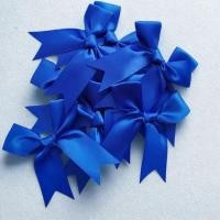 ราคา โบว์นักเรียนสีน้ำเงิน ขนาด กลาง แพ็ค 12 ชิ้น โบว์ผูกผมนักเรียน กิ๊บโบว์นักเรียน (26789928031)