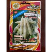ราคา เมล็ดข้าวโพดฝักอ่อน 10 แถม 1 ข้าวโพดอ่อน ข้าวโพด baby corn เมล็ดพันธุ์ผัก (16169280927)