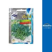 ราคา เจียไต๋ เมล็ดพันธุ์คะน้าฮ่องกง ตรา จัดส่งโดย HomePro (20079989401)