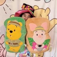 ราคา หมอนคู่ Pooh&Piglet ตุ๊กตาหมีพูห์&พิกเลท หมีพูห์ Winnie the Pooh (15714593538)