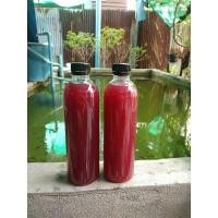 ราคา จุลินทรีย์สังเคราะห์แสง เข้มข้น ขวด 500 ml. 2 ขวด (20480549460)