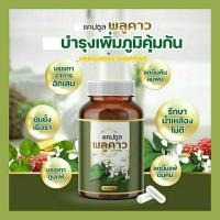 ราคา พลูคาวแคปซูล พลูคาวสกัด สมุนไพรพลูคาวแคปซูล เพิ่มภูมิคุ้มกัน น้ำเหลืองไม่ดี เชื้อรา อักเสบ ผื่นคัน ลมพิษ (18795866597)