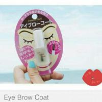 ราคา EyeBrow coat (2800088)