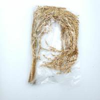 ราคา รวงข้าว รวบข้าวตากแห้ง รวงข้าว9รวง ลงเสาเอก เม็ดยาว (4133110118)