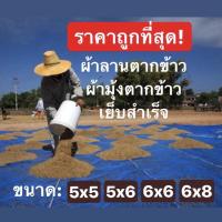 ราคา ผ้าลานตากข้าว ผ้ามุ้งตากข้าว มุ้งฟ้า ผ้าแยงเย็บสำเร็จ ขนาดกลาง (7657976468)
