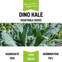 ราคา เมล็ดพันธุ์ โดโนเคล (Dino Kale) ผักเคล (27588132089)