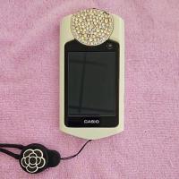 ราคา casio exlim กล้องฟรุ้งฟริ้ง (26172590986)