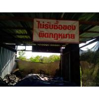 ราคา รับทำป้ายขนาด60*100cm.รูปแบบตามตัวอย่างนะใส่ตัวอักษรอะไรทักมาได่คับพื้นขาว ขอบแดงชัดเจนดีคับร้านเพื่อนฝากลงทักมาได้นะคับ (54557189592)